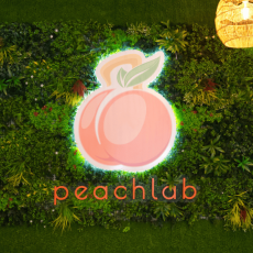 Peach-Lab-Tampa.webp